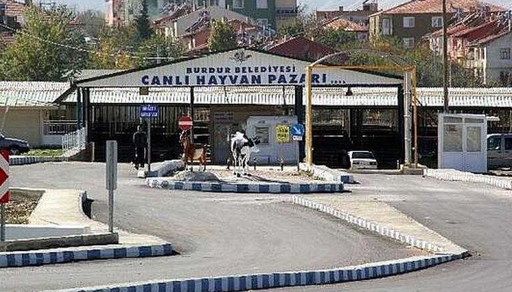 Burdur’da kurbanlık fiyatları yüzde 30-40 düştü!