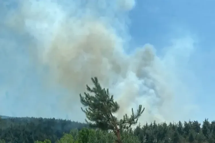 Köyceğiz’de orman yangınına müdahale sürüyor