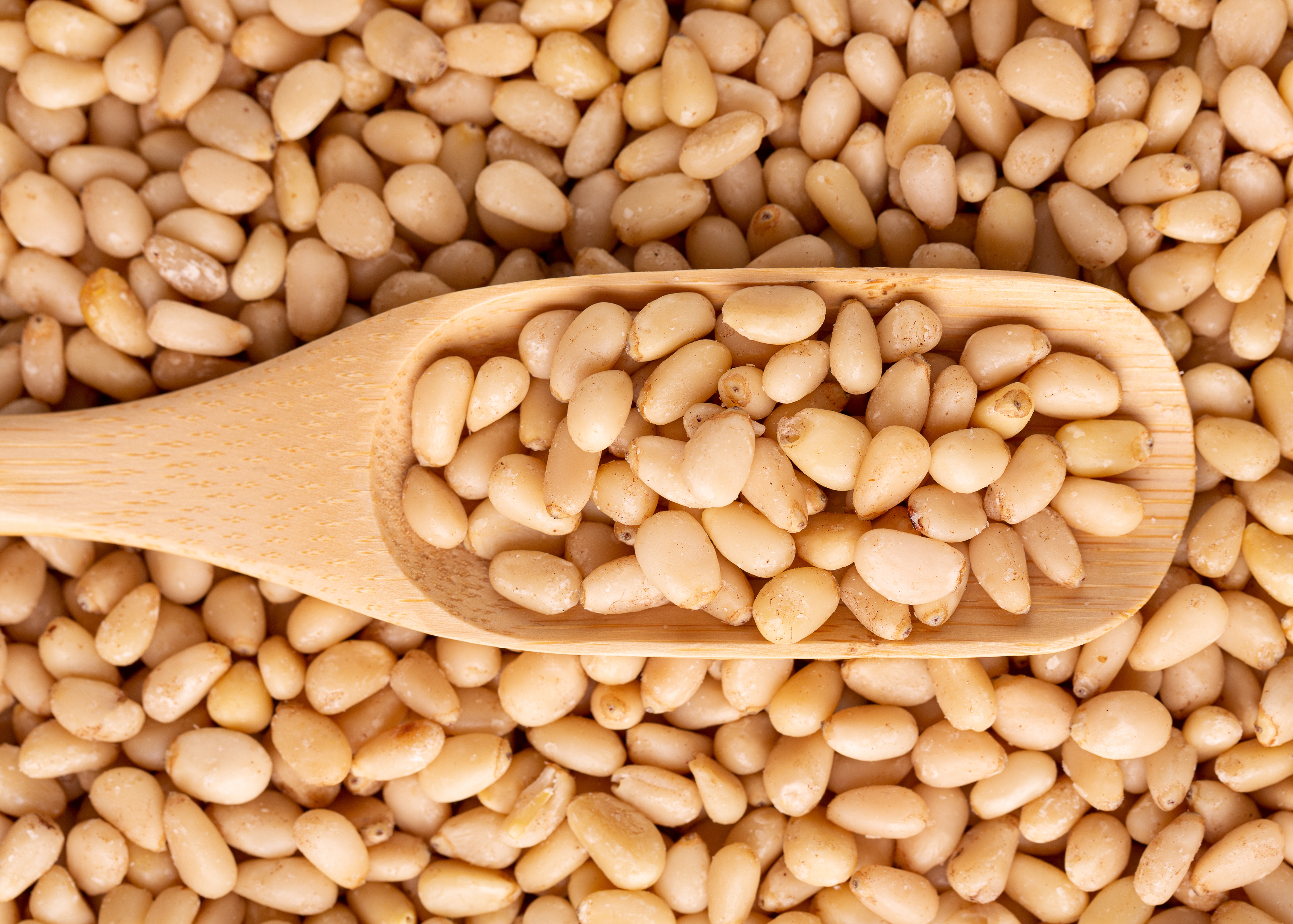 Aydın çam fıstığı AB'den coğrafi işaret tescili aldı