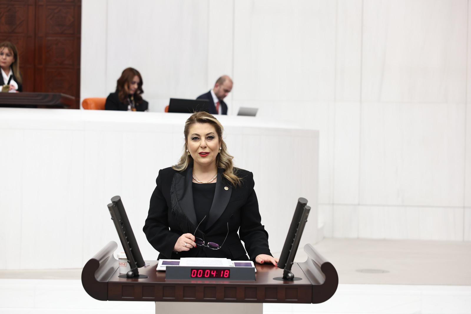 Elvan Işık Gezmiş: Kadın ölümleri neden araştırılmıyor?