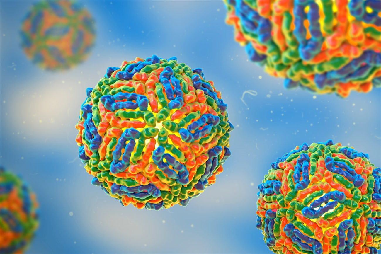 İtalya’da Batı Nil Virüsü vaka sayısı artışta