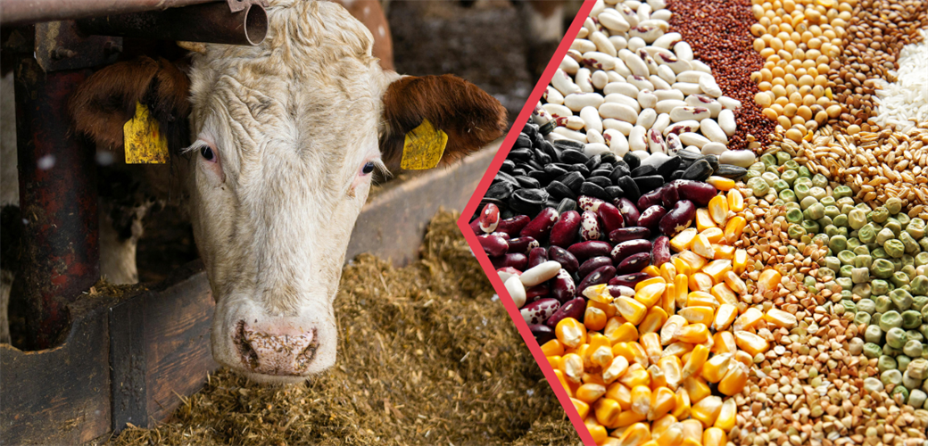 344 milyonluk tarımsal destek hesaplara yatırıldı