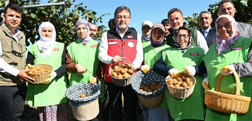 Bakan Yumaklı kivi hasadına katıldı