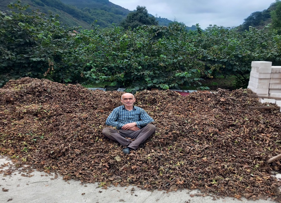 Fındık fiyatı düşürülmeye mi çalışılıyor?