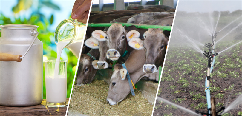 Tarımsal Destekleme Ödemeleri Hesaplara Yatmaya Başladı