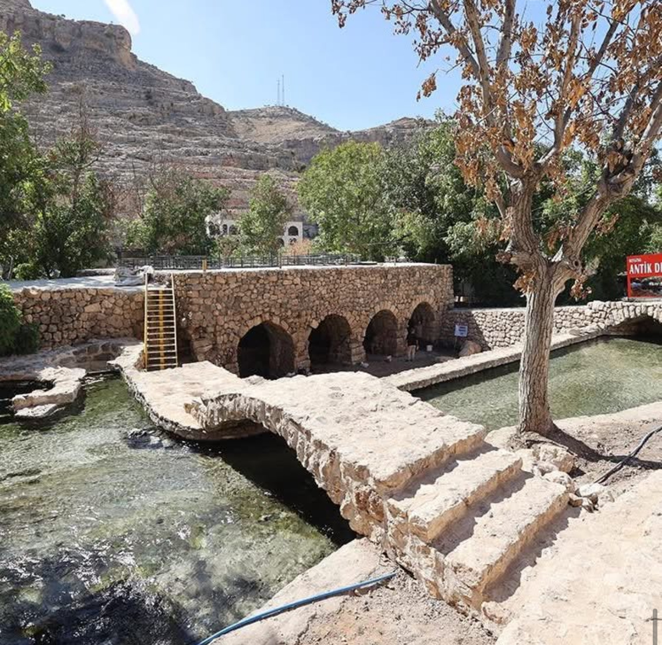 Mardin’de 1500 yıllık mozaik gün yüzüne çıktı