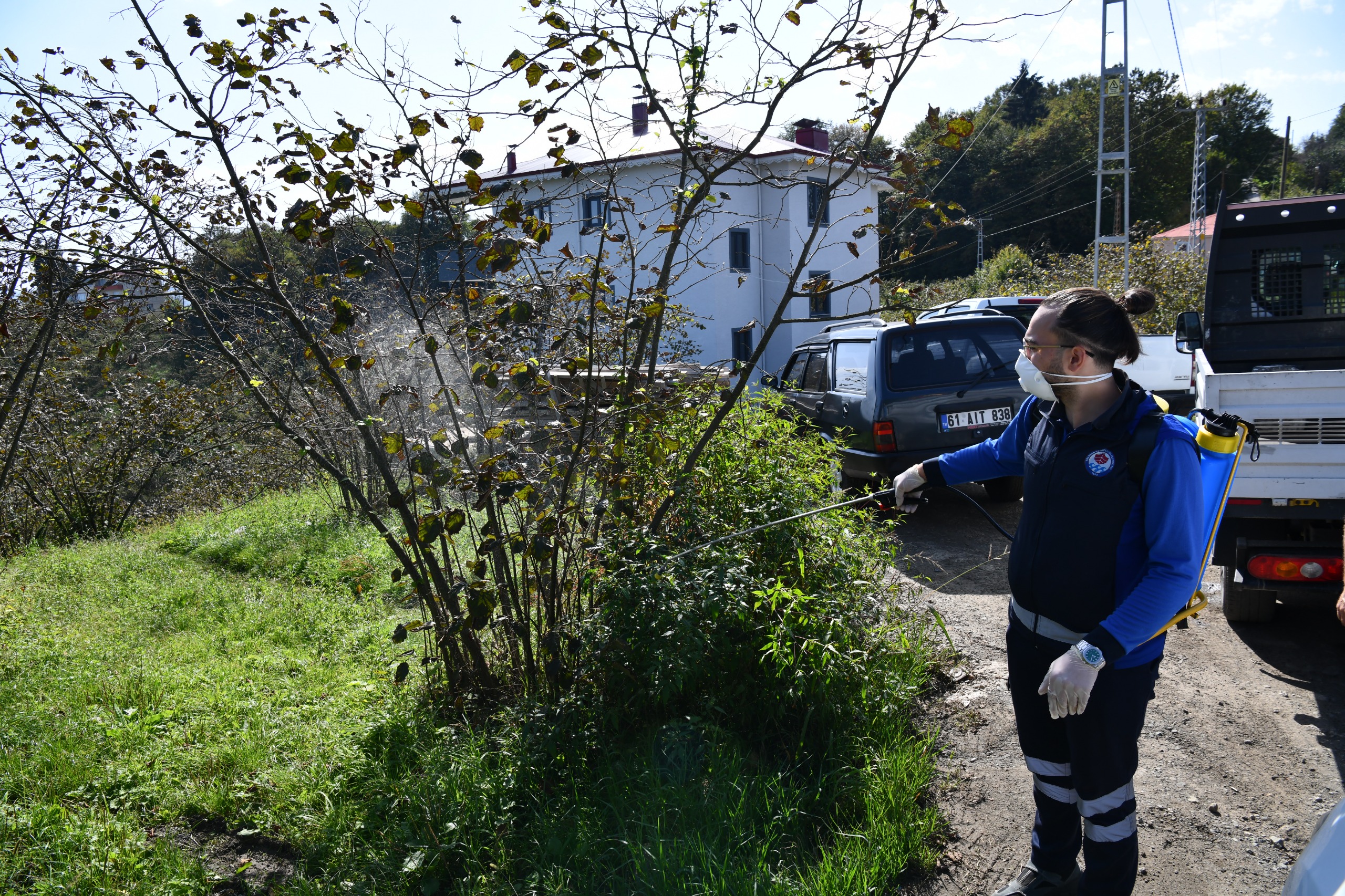 Trabzon’da kahverengi kokarca böceğiyle mücadele kapsamında 9 ilçede ilaçlama çalışmalarını sürdürüyor