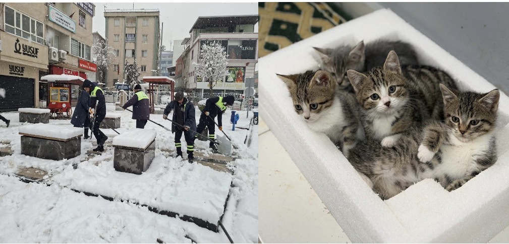 Belediye emekçileri yoğun kar yağışına karşı seferber oldu