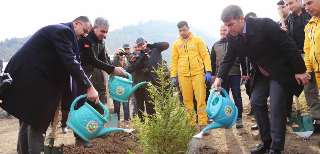 Amasya’da yüzlerce kişi “Geleceğe Nefes” olmak için fidan dikti