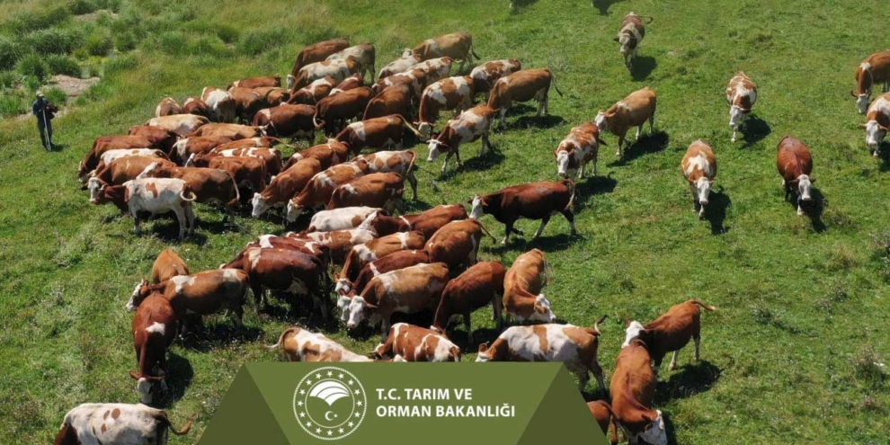 Bakanlık açıkladı: Çiftçilere yönelik 67 milyon 953 bin liralık destek ödemesi gerçekleşti