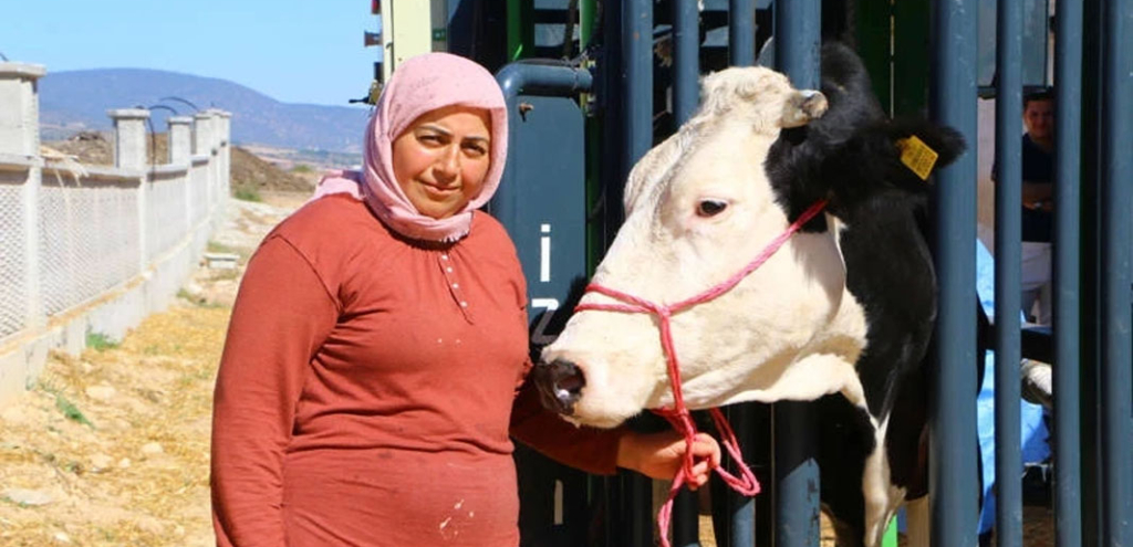 Antalyalı hayvan üreticisine destek