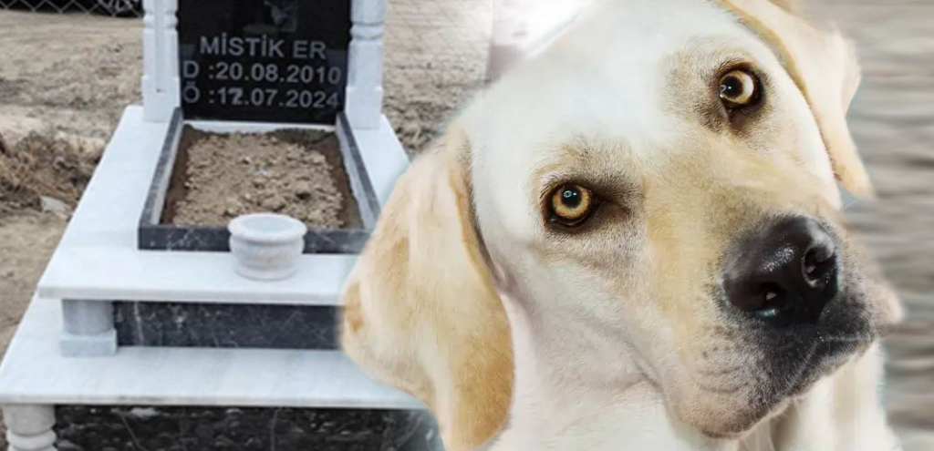 Isparta’da ölen köpeği için lüks mezarlık yaptırdı