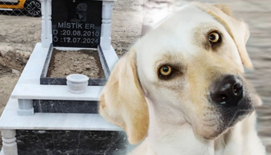 Isparta’da ölen köpeği için lüks mezarlık yaptırdı